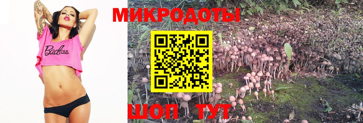 Мурманск  Галлюциногенные грибы MAGIC MUSHROOMS  Вход с VPN 